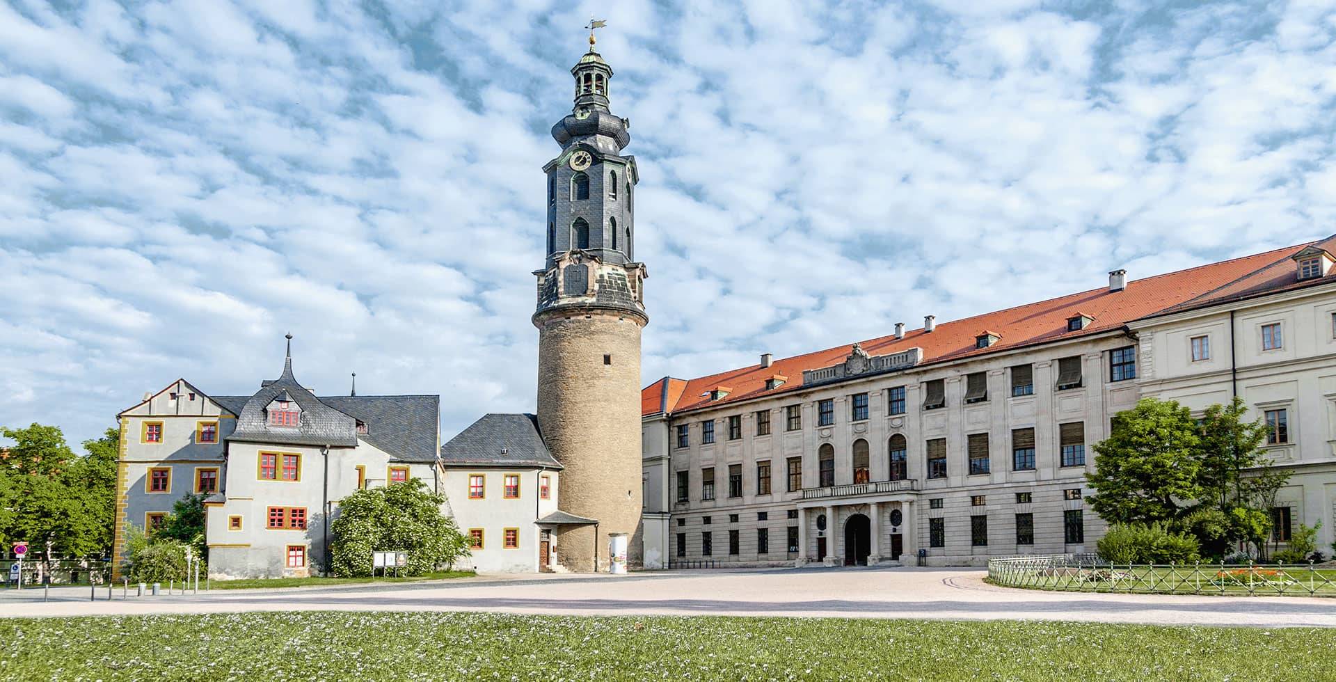 Das Stadtschloss Weimar bei sonnigem Wetter. Kleine Schäfchenwolken am Himmel und blühender Klee auf dem Rasen davor.