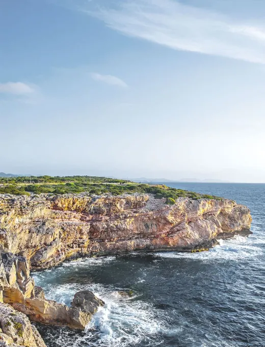 Coastal landscape in Mallorca with steep cliffs and calm sea, surrounded by lush nature.