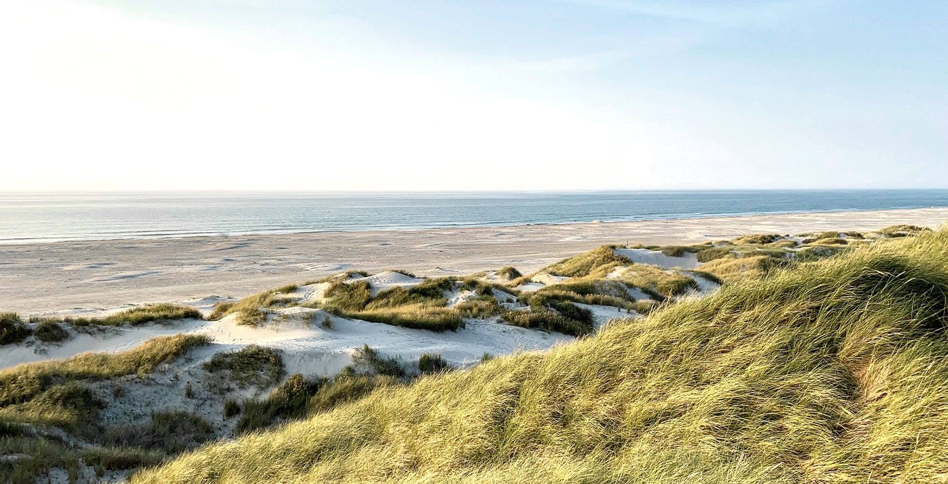 Weite Dünenlandschaft auf Sylt mit Blick auf die Nordsee bei klarem Himmel und sanftem Wellengang.