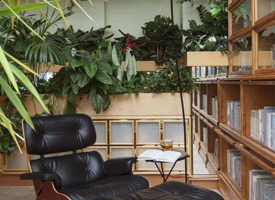 Reading corner with leather armchair surrounded by plants and bookshelves in the Hotel Kaiserhof Heringsdorf.