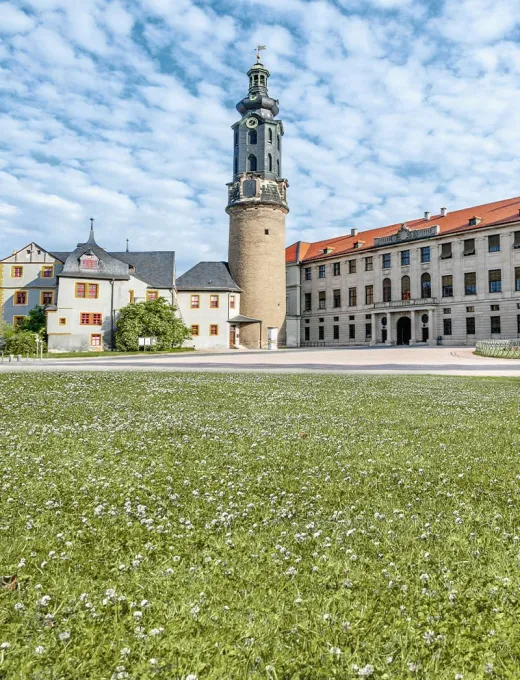The City Palace of Weimar on a sunny day. Small fluffy clouds in the sky and blooming clover on the lawn in front.