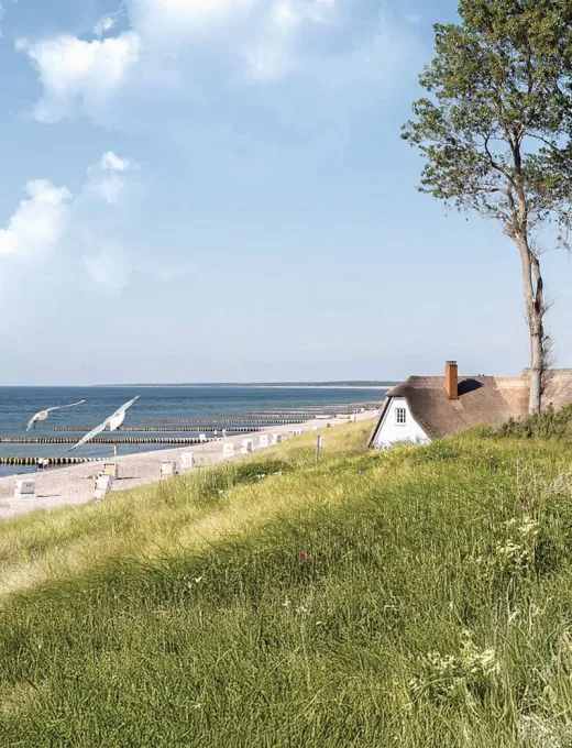 Thatched roof house in Ahrenshoop surrounded by dunes and grasses, idyllic location in nature.
