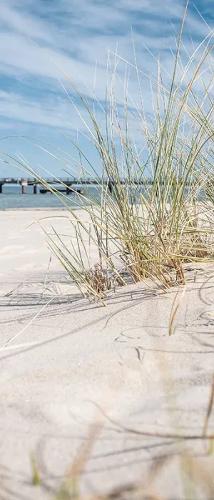 Fine sandy beach with grasses and a view of a pier on the Baltic Sea in front of the Vju Hotel with numerous vacation offers.