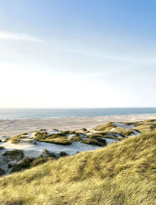 Vast dune landscape on Sylt with a view of the North Sea, clear sky, and gentle waves.