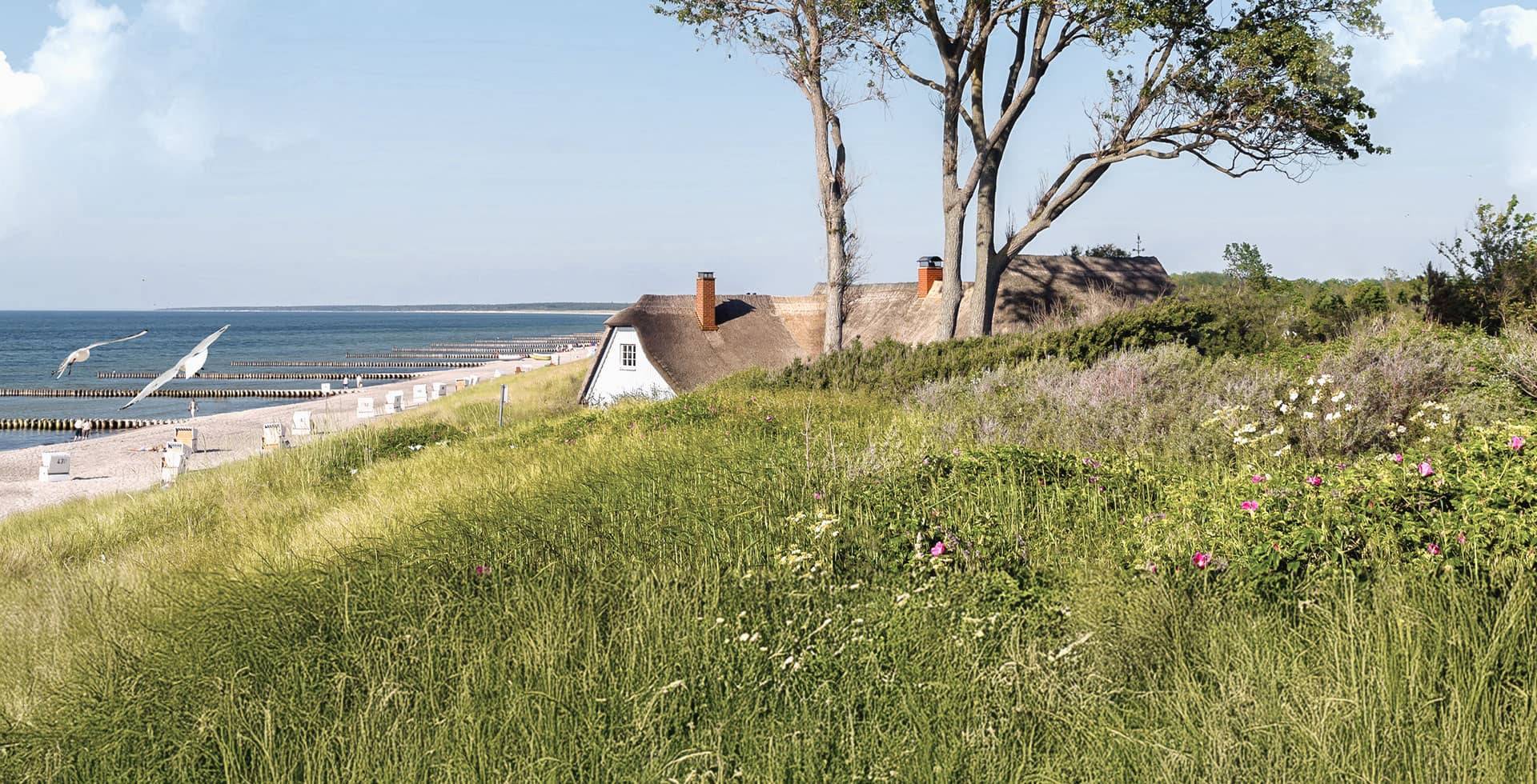 Reetdachhaus in Ahrenshoop umgeben von Dünen und Gräsern, idyllische Lage in der Natur.