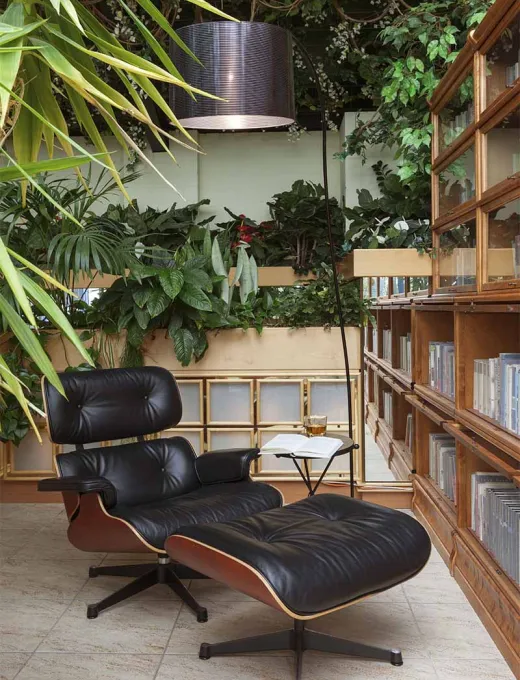 Reading corner with leather armchair surrounded by plants and bookshelves in the Hotel Kaiserhof Heringsdorf.