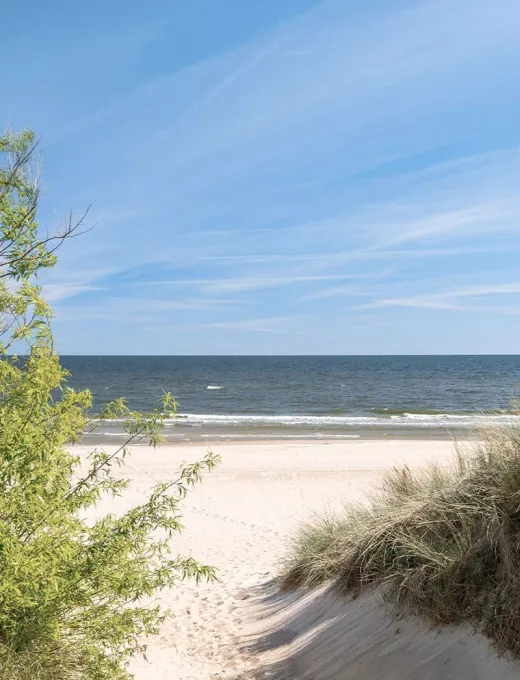 Beach path through dunes on Usedom, with a calm sea in the background.