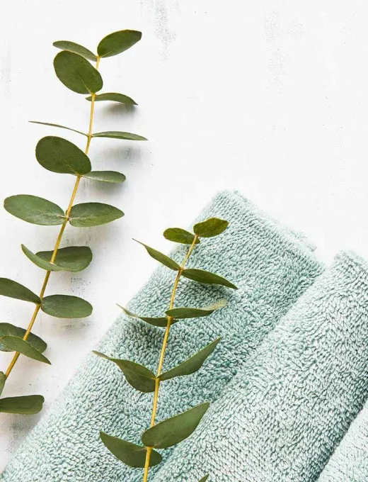 Soft green towels and fresh eucalyptus branches on a white background create a relaxing atmosphere.