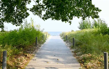 A wooden walkway on Usedom that leads through green dunes and shady trees to the sea.
