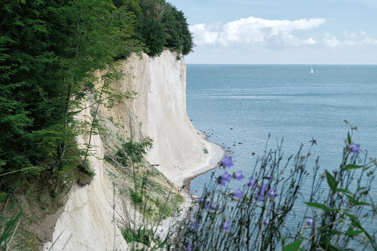 Blick auf die weißen Klippen auf Göhren auf der Insel Rügen im Urlaub im Vju Hotel auf Rügen.