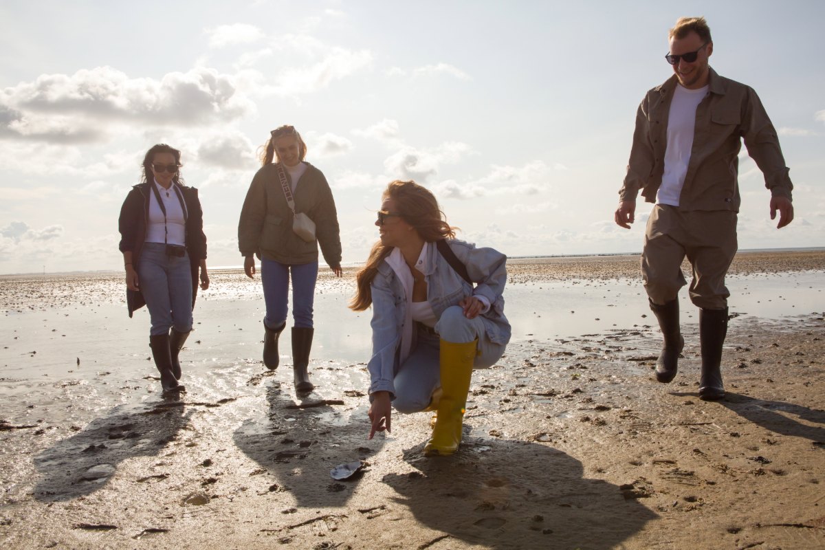 Eine Gruppe Erwachsener erkundet bei Ebbe das Wattenmeer, geht über den feuchten Sand und betrachtet Muscheln und Wattboden