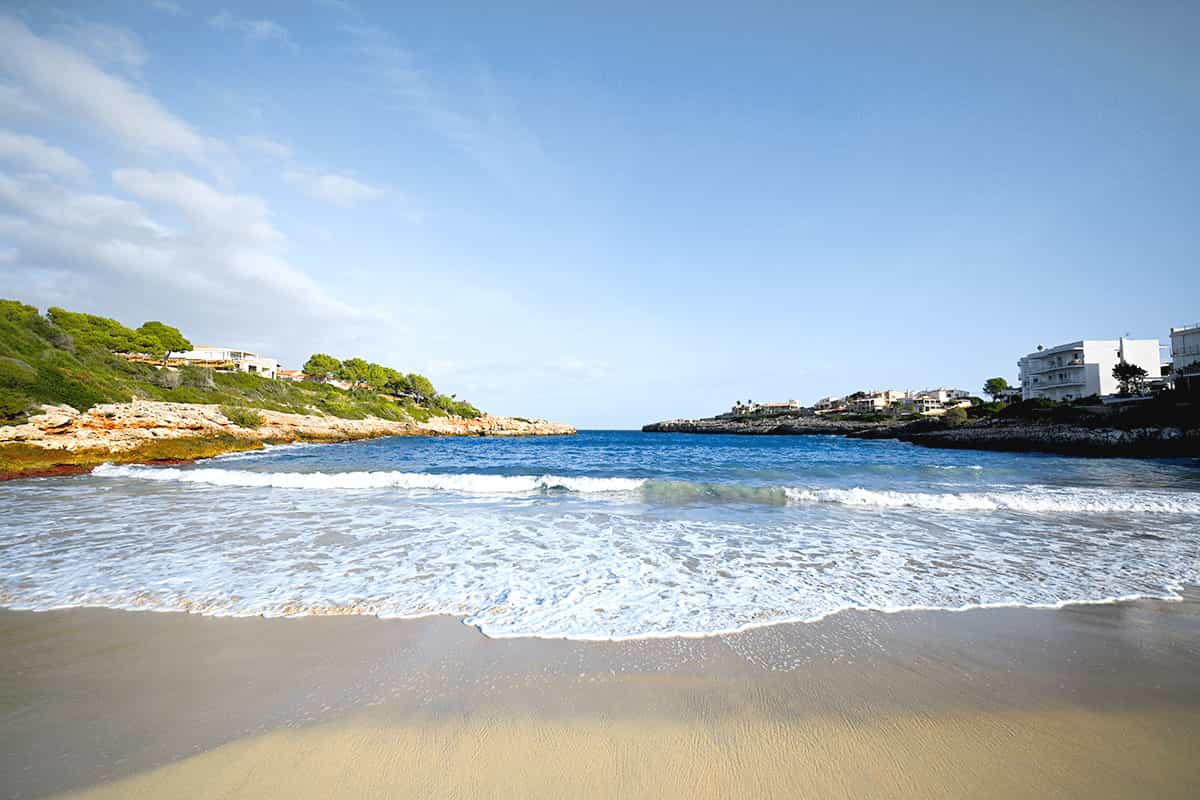 Strand mit feinem Sand, klarem Meer und umliegenden Häusern sowie grüner Natur unter einem strahlend blauen Himmel auf Mallorca.