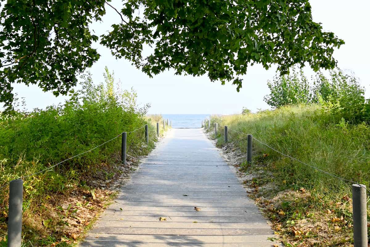 Ein Holzsteg auf Usedom, der durch grüne Dünen und schattenspendenden Bäumen zum Meer führt.