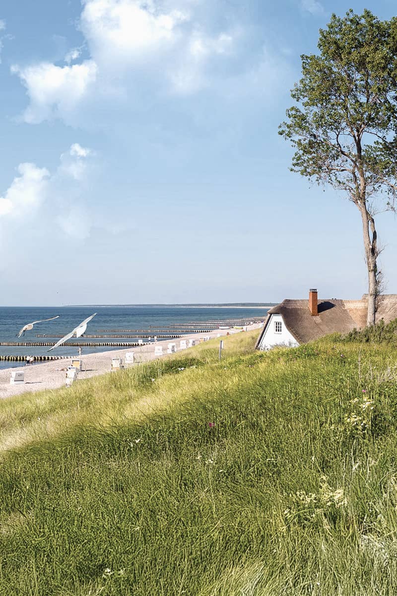 Reetdachhaus in Ahrenshoop umgeben von Dünen und Gräsern, idyllische Lage in der Natur.