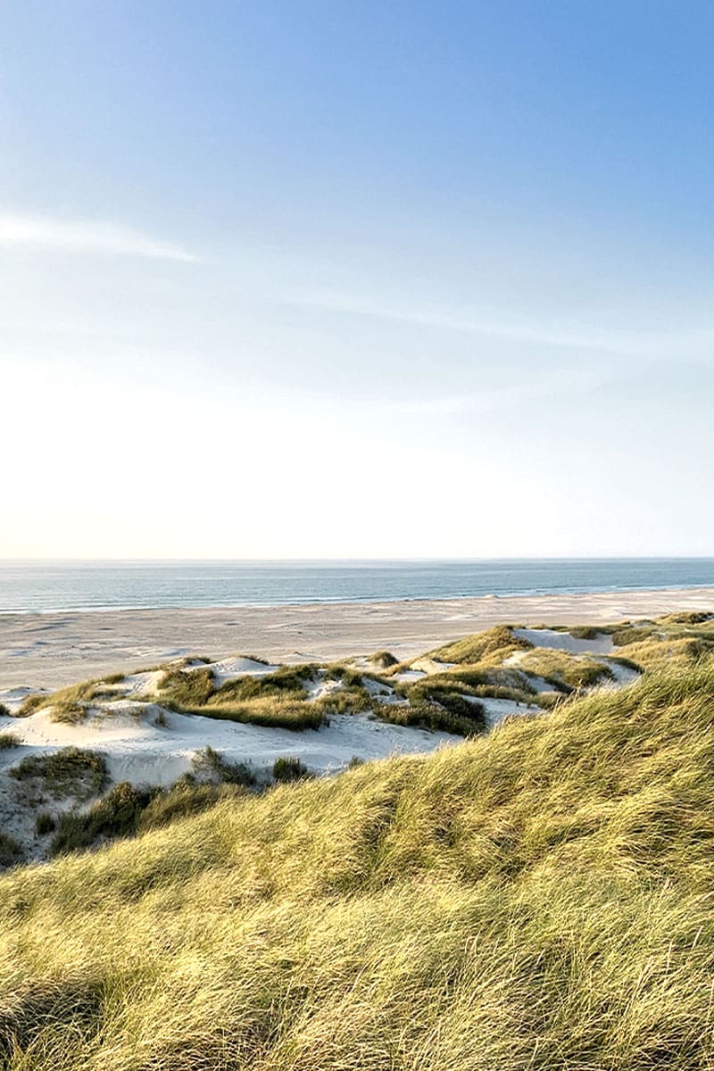 Weite Dünenlandschaft auf Sylt mit Blick auf die Nordsee bei klarem Himmel und sanftem Wellengang.