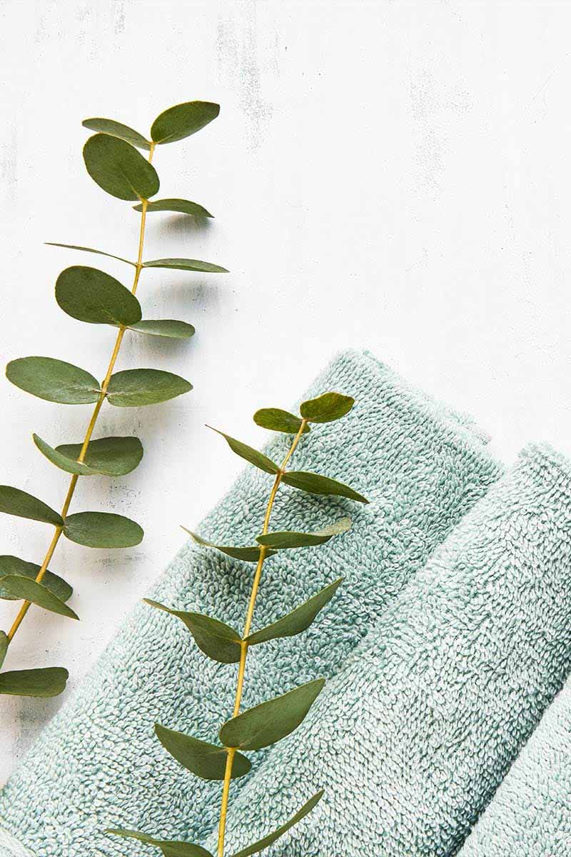 Soft green towels and fresh eucalyptus branches on a white background create a relaxing atmosphere.