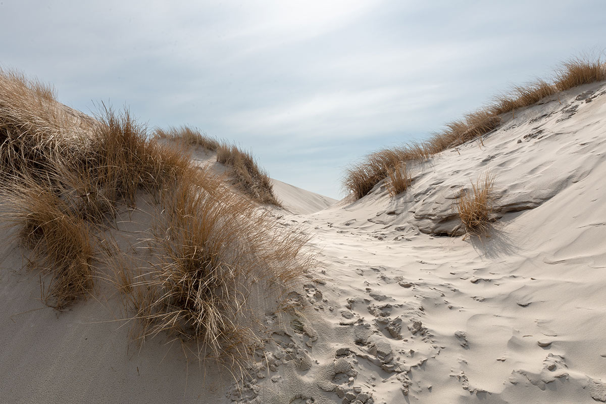 Sandige Dünen mit trockenem Gras und Fußspuren, die durch die Küstenlandschaft führen.