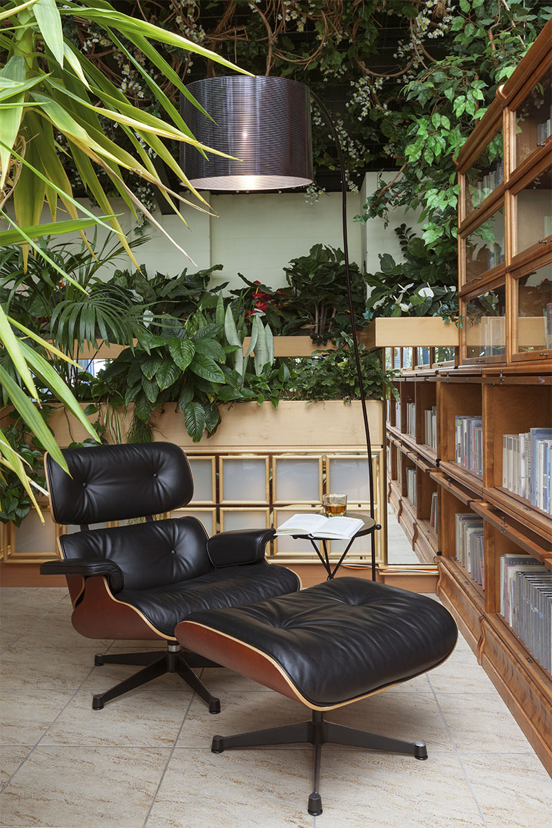 Modern leather armchair with footstool stands in a room with many plants and a bookshelf.