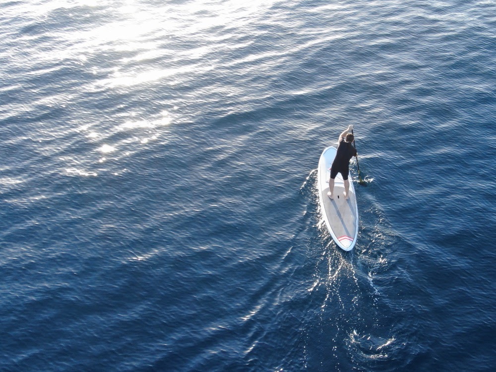 Eine Person paddelt stehend auf einem SUP-Board über das ruhige, reflektierende Wasser des Meeres.