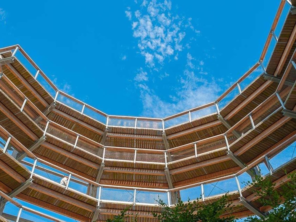 Aufwärtsblick auf den hölzernen Baumwipfelpfad Rügen vor einem wolkenlosen blauen Himmel.