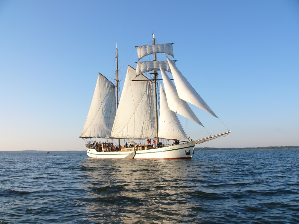 Traditionelles Segelschiff mit vollen Segeln auf ruhiger Ostsee unter klarem Himmel.