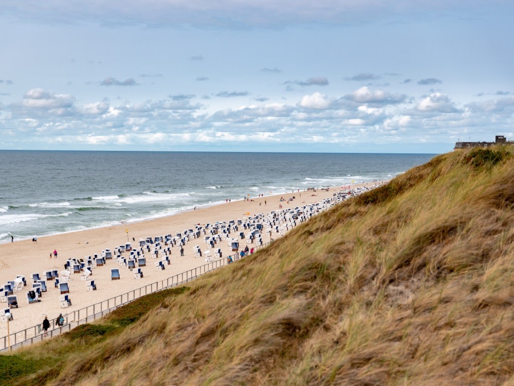 Ein langer Strandabschnitt mit vielen Strandkörben, der sich unterhalb einer grasbewachsenen Düne entlang der Küste erstreckt.