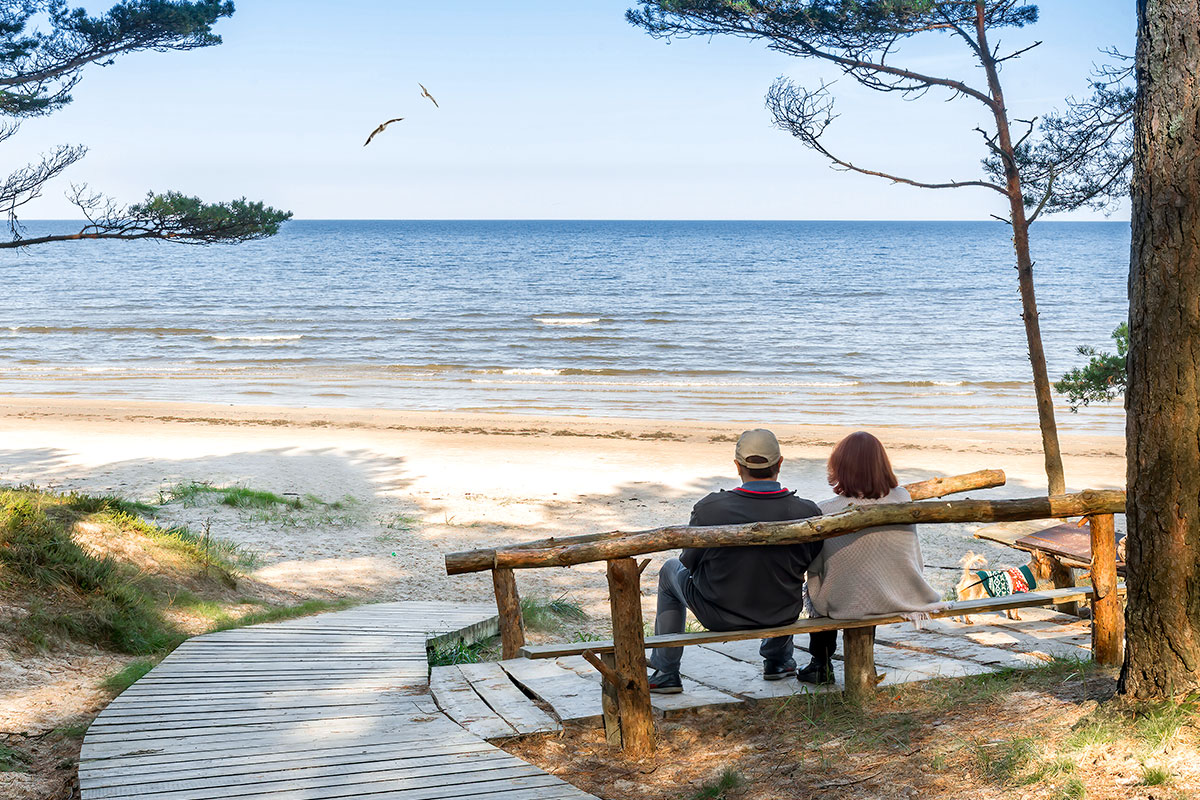 Two people sit on a bench on the beach and look at the sea, surrounded by trees.