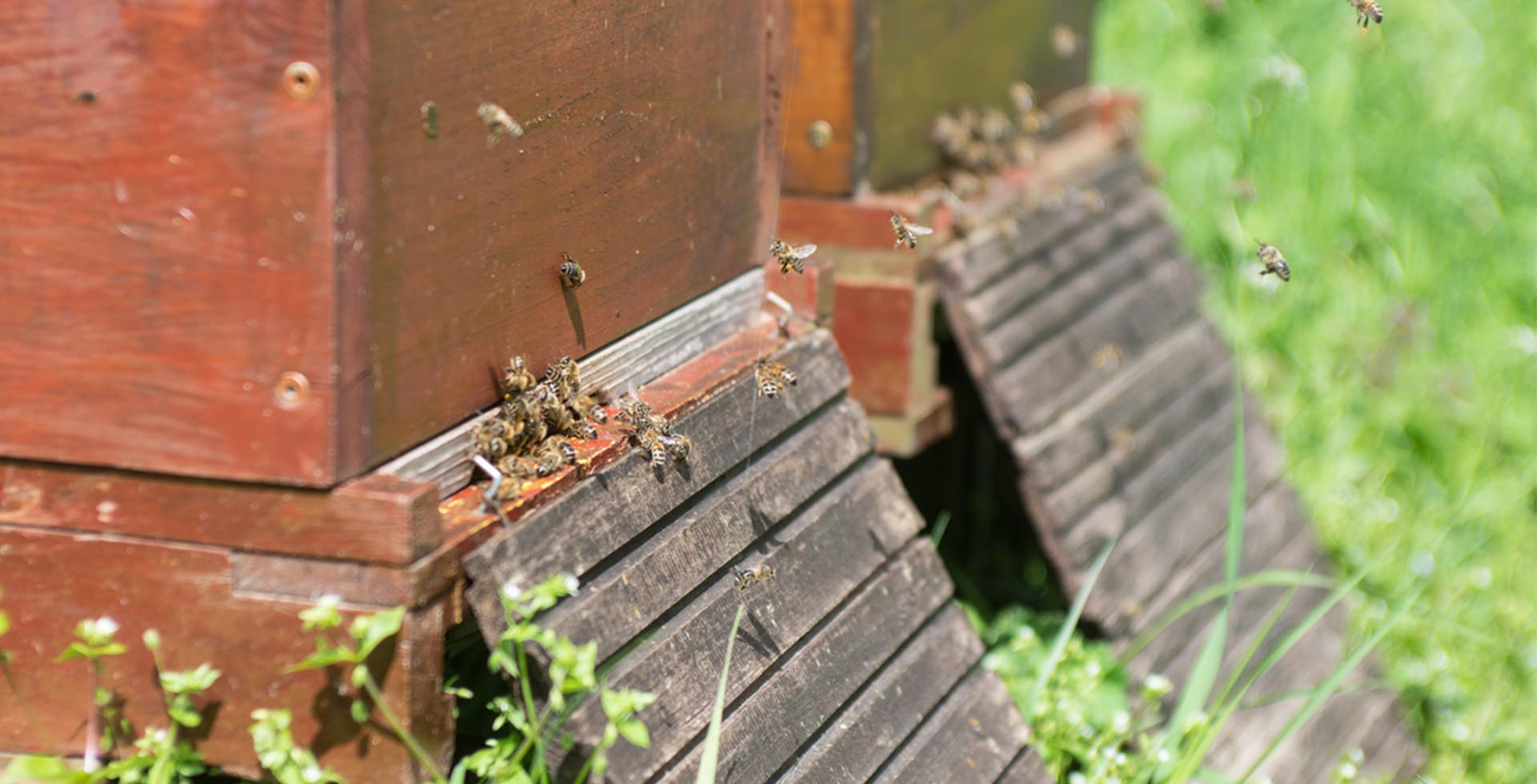 Naturschutz. Umwelt. Klima.